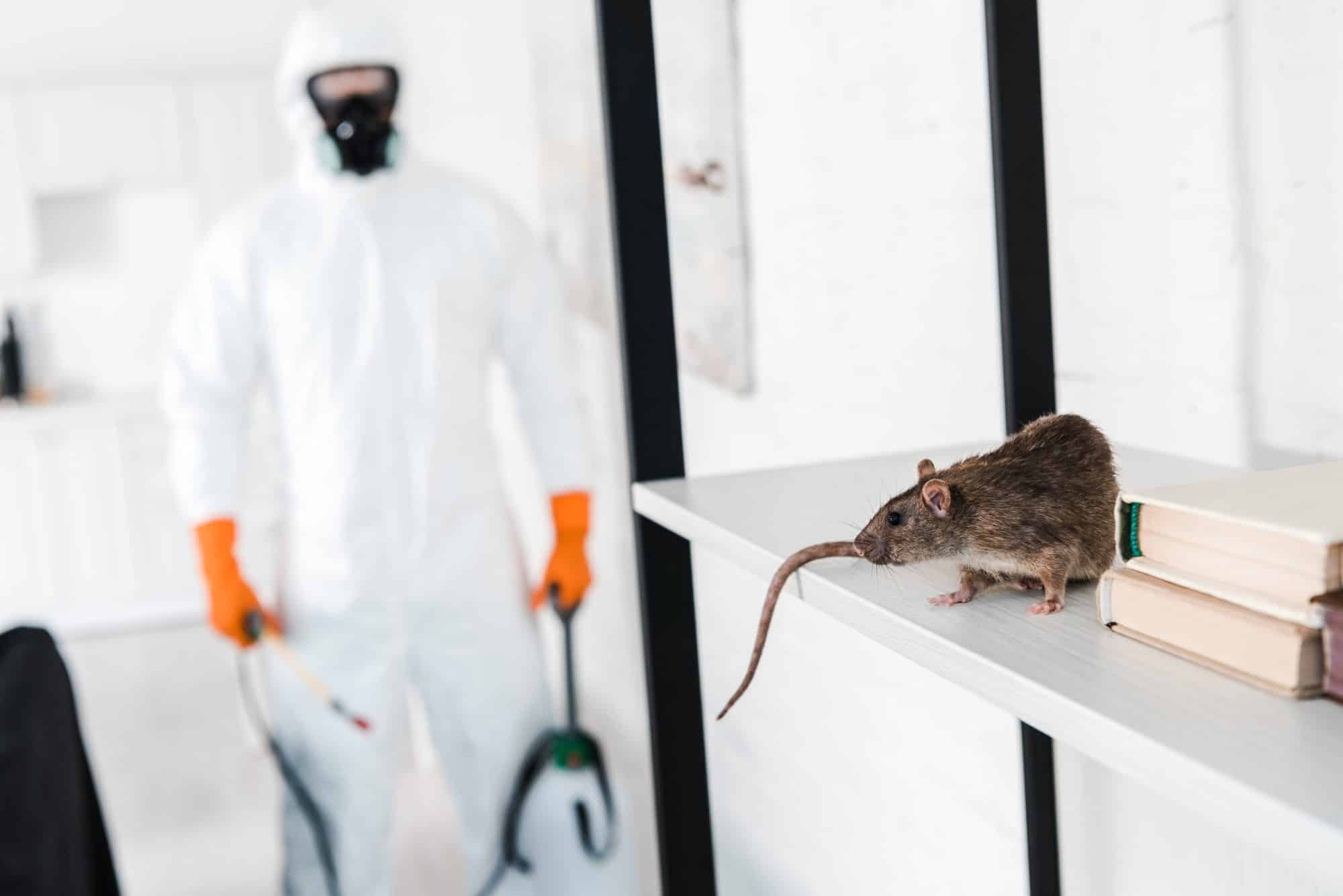 Rodent Exterminator