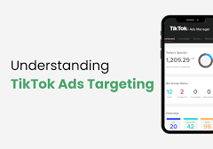 TikTok Ads Management